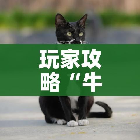 吉林新增本地确诊病例54例/吉林新增本地确诊病例30例