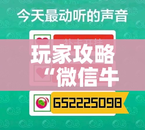 科普一下“微信上金花房间卡怎么购买”获取房卡教程-哔哩哔哩