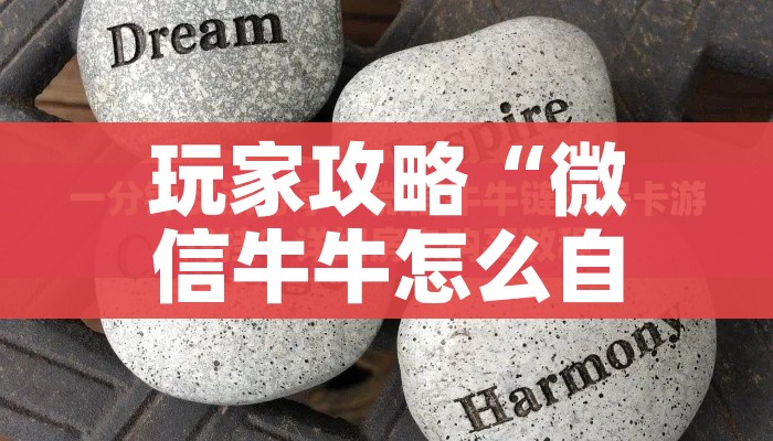 【广东新增5例本土确诊/广东新增本土确诊4例】