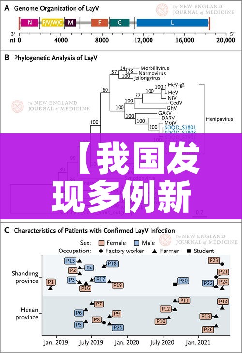 房卡全攻略“牛牛房卡从哪买”获取房卡教程-哔哩哔哩