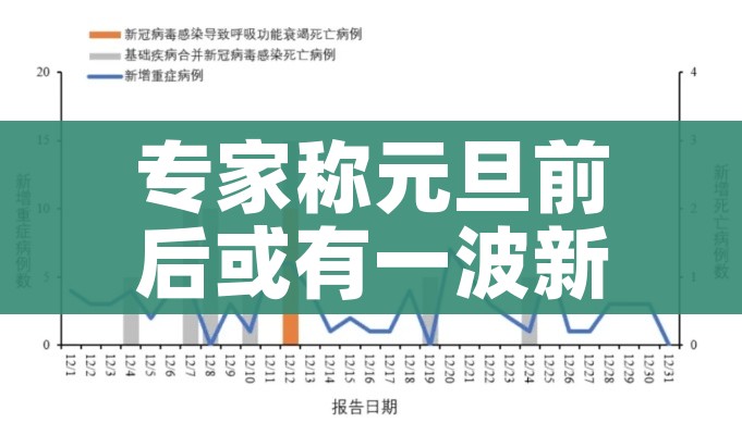 专家称元旦前后或有一波新冠感染高峰:元旦之后是新的一年吗?