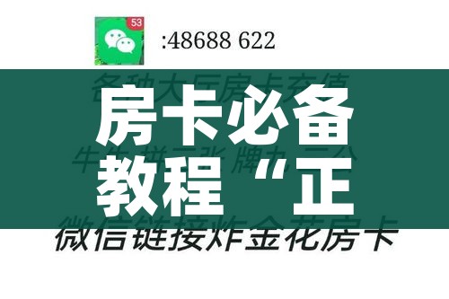 房卡必备教程“正规斗牛房卡哪里买”获取房卡教程-哔哩哔哩