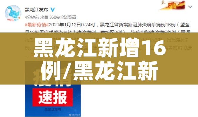 黑龙江新增16例/黑龙江新增16例确诊病例详情