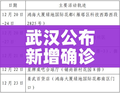 武汉公布新增确诊病例轨迹（武汉新增病例活动轨迹公布）