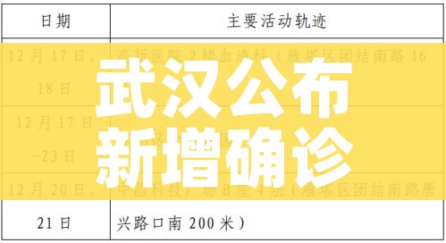 武汉公布新增确诊病例轨迹（武汉新增病例活动轨迹公布）