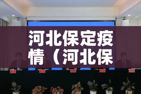 河北保定疫情（河北保定疫情伤亡数据一览表）
