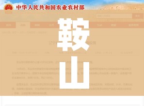 鞍山疫情最新消息今天:鞍山役情最新消息