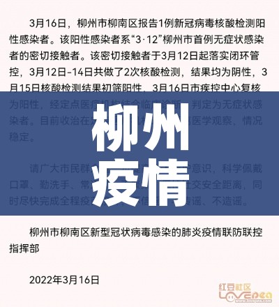 大连湾港客运站（大连湾综合交通枢纽客运站电话）