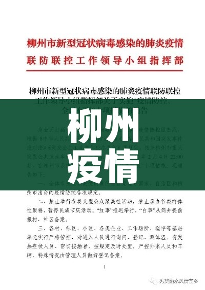 28号以后返乡/28号后返乡政策