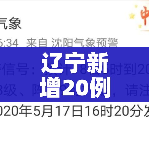 沈阳今天最新疫情:沈阳今天疫情新增