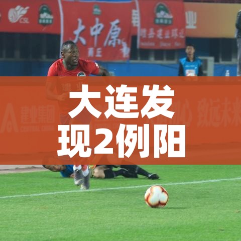 大连发现2例阳性（大连确诊2例）