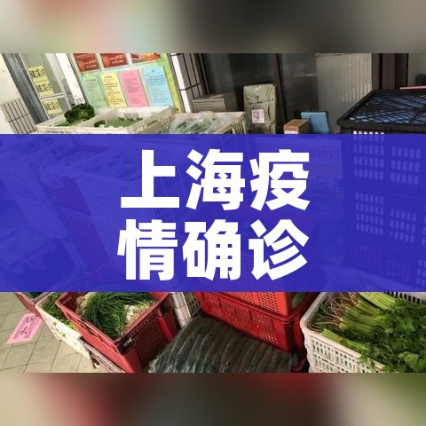 上海疫情确诊小区查询/上海确诊小区名单