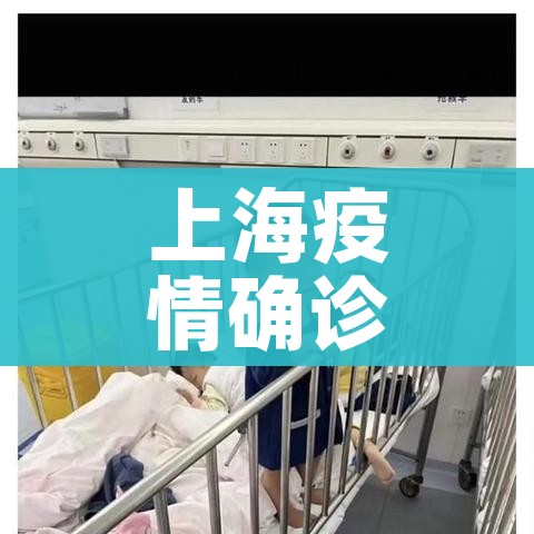上海疫情确诊小区查询/上海确诊小区名单