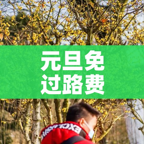 四川新增本土确诊127例:四川新增本土确诊1例详情