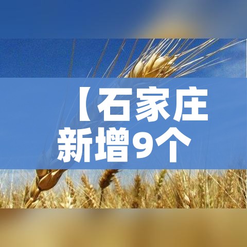 秒懂百科“微信金花去哪购买房卡”轻松获取房卡全渠道