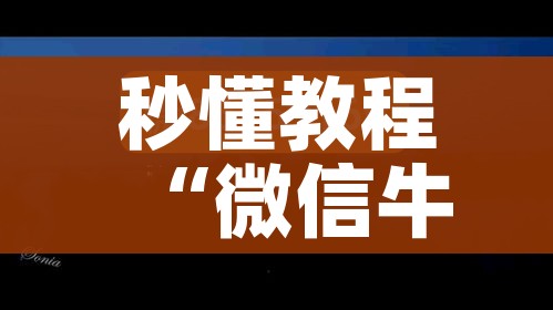 秒懂教程“微信牛牛房卡多少钱一张”房卡链接获取