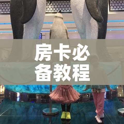 房卡必备教程“随意玩大厅怎么充房卡”详细房卡教程