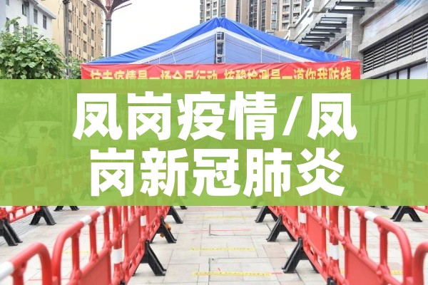 凤岗疫情/凤岗新冠肺炎最新消息