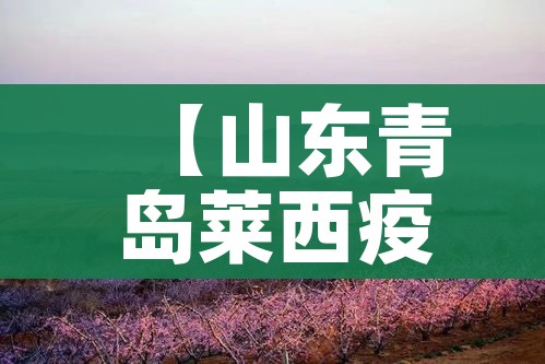 广州花都疫情最新消息/广州花都疫情最新消息今天