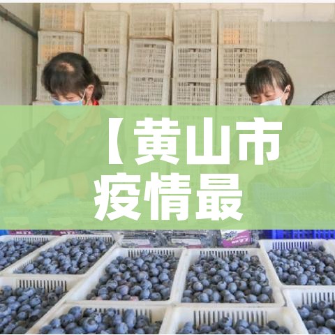 一分钟实测分享“在哪里买炸 金花房卡便宜又好玩”链接房卡在哪里获取