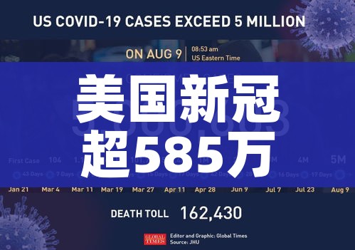 31省新增11例:31省新增11例病例