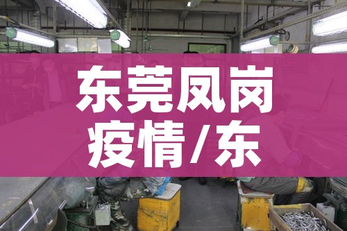 东莞凤岗疫情/东莞凤岗疫情最新消息1月30