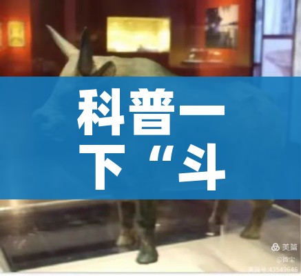一分钟实测分享“如何购买炸 金花房卡”详细房卡怎么购买教程