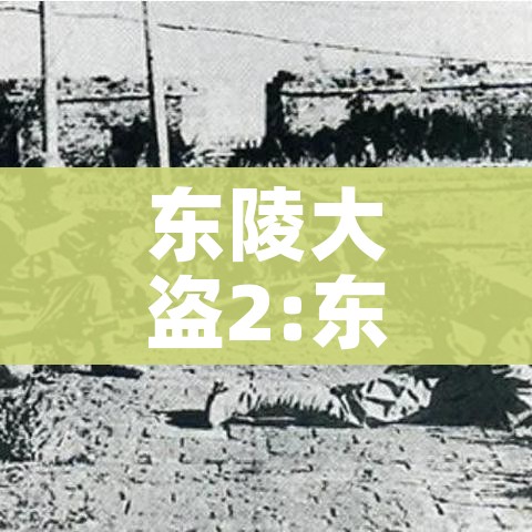 东陵大盗2:东陵大盗20集完整版