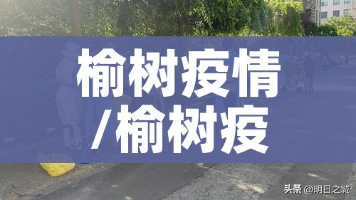 全攻略普及“微信群房卡金花怎么弄”轻松获取房卡全渠道