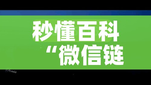 绥中疫情最新消息/绥中最新一个肺炎
