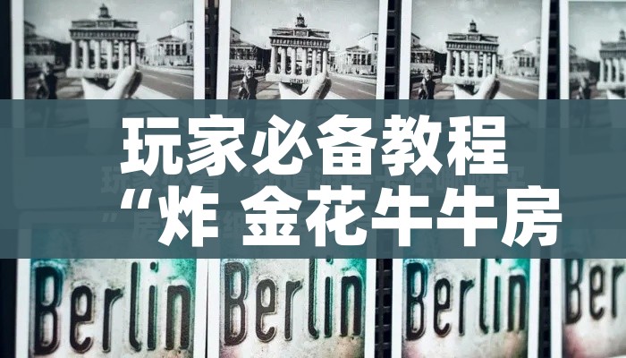 玩家必备教程“炸 金花牛牛房卡链接”详细房卡怎么购买教程