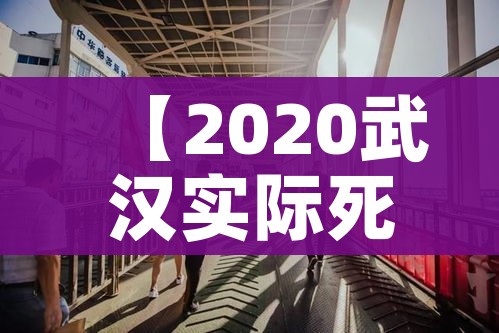 青岛新型冠状病毒/青岛 新冠