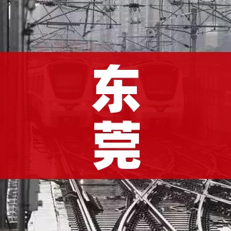 东莞最新消息今天/东莞最新疫情通告