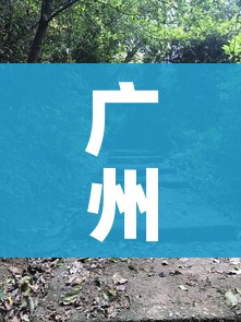 广州龙洞:广州龙洞属于哪个区