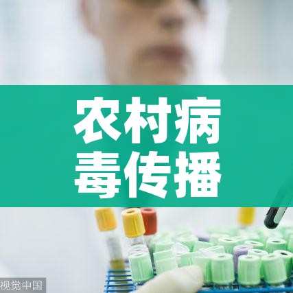 秒懂百科“海贝之城拼三张房间卡”详细房卡教程