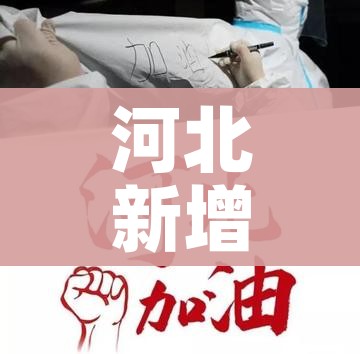 河北新增90例(河北新增90例详情) 河北新增90例(河北新增90例详情)