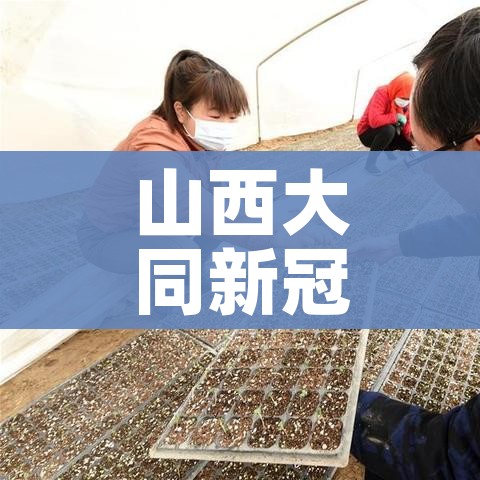 山西大同新冠疫情最新消息/山西大同最新疫情通报