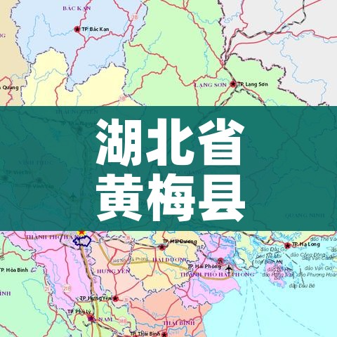 秒懂百科“微信炸 金花房间创建流程详解”详细房卡怎么购买教程