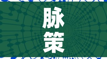 脉策数据查询系统（脉策数据城市数据团）