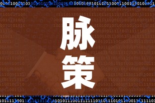 脉策数据查询系统（脉策数据城市数据团）