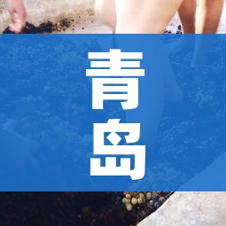 青岛新型冠状病毒/青岛 新冠
