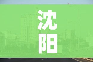 沈阳市疫情最新消息/沈阳市新冠肺炎疫情最新消息