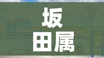 坂田属于哪个区/坂田是哪个区的?