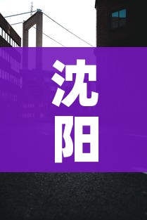 上海疫情小区查询/上海疫情实时小区查询