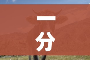 浙江慈溪防疫最新政策:慈溪 防疫