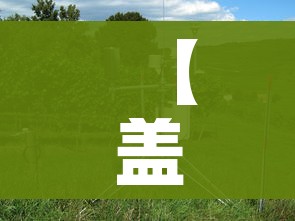 一分钟介绍使用“炸 金花链接房卡代理”获取房卡教程-哔哩哔哩