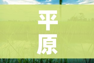 房卡必备教程“正规斗牛房卡哪里买”链接房卡在哪里获取