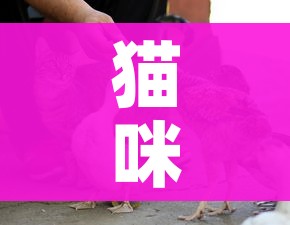 31省区市新增确诊病例46例:31省区市新增确诊病例21例_