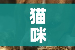 猫咪会感染新型冠状病毒吗/猫咪会感染新型冠状病毒吗