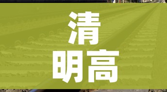 清明高速是否免费:清明高速有没免费